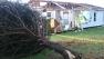 Storm damage