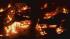 Flames ravage the Southern States Farm Supply...
