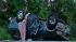 WTVD photo
