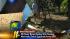 Kill Devil Hills residents survey damage ::
