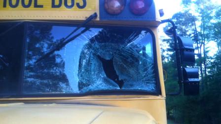 A duck smashed through the windshield of a Cumberland County school bus Tuesday morning as it was on its way to deliver students to Elizabeth Cashwell Elementary School.