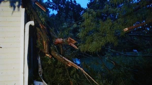 Storm damage in Person County