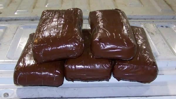 The Sampson County Sheriff's Office says its deputies seized five kilograms of cocaine Tuesday.