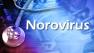Norovirus