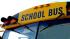 Photo of a school bus