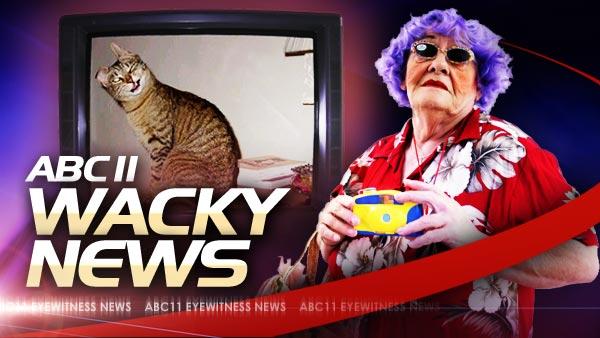 Read about the wacky, strange and bizarre!