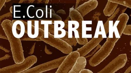 E. Coli bacteria