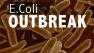 E. Coli bacteria