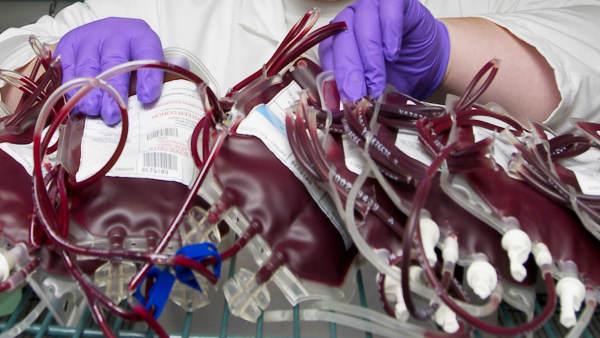 photo of blood bags