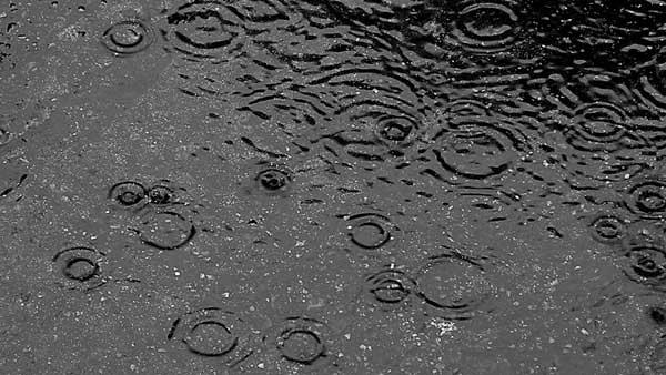 Rain Puddle