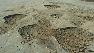 Pothole