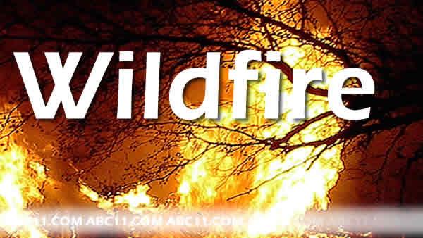 Vicious wildfires spread to Colo. tourist centers