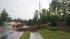 Tree down on Forestville Road in Raleigh