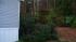 Viewer in south Raleigh says fallen pine tree...