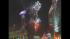 Fireworks light up Raleigh skyline