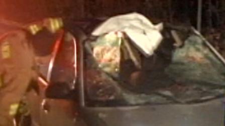A driver in Durham was badly injured early Monday morning after he crashed head-on into a horse.