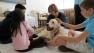 Aspen is a therapy dog at the Duke Cancer Center
