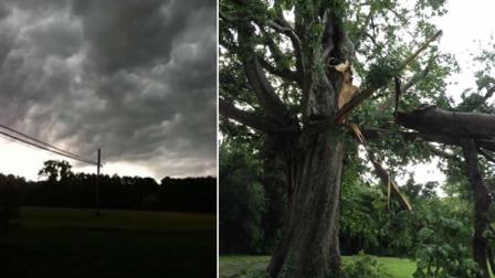Storm clouds over Spring Hope and a tree that fell victim to the wind in Rougemont Friday.