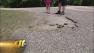 Troubleshooter Johnston County pothole
