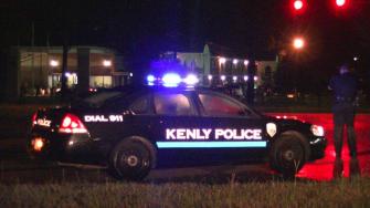 Authorities say a huge fight in Johnston County led to several arrests and cars towed