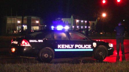 Authorities say a huge fight in Johnston County led to several arrests and cars towed