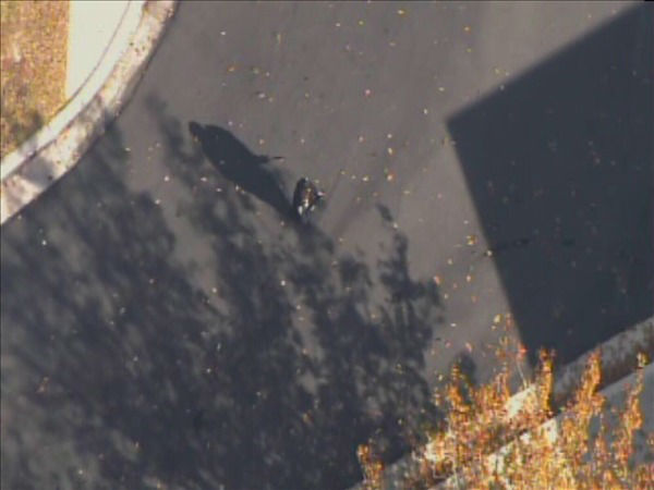 Picture courtesy ECU News Services/Photographer...