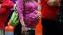 Pregnant woman