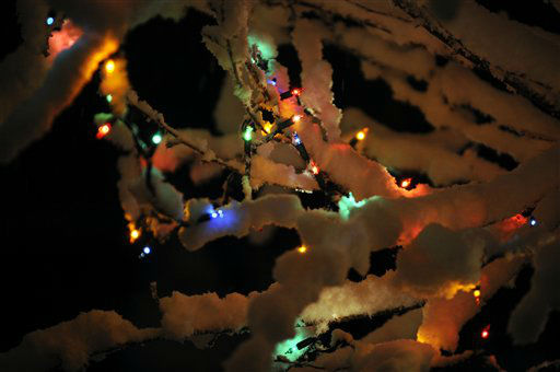 Snow rests on branches of a tree with...