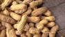 Peanuts