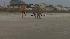 Oak Island