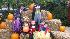 Trick or treating at the zoo
