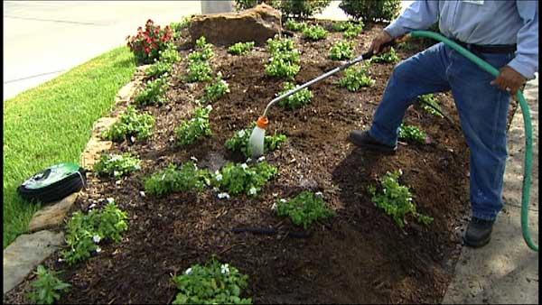 'Water Wise' Gardening