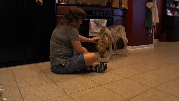 Saving Money on Pet Medication