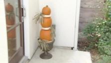 Web Exclusive: Do-It-Yourself Topiary Web Exclusive: Do-It-Yourself Topiary