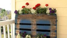 Pallet Garden Pallet Garden