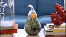 Tips for Making Your Own Terrariums