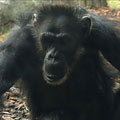 Ways to Save at Zoo
