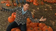 Pumpkin Patch Visit