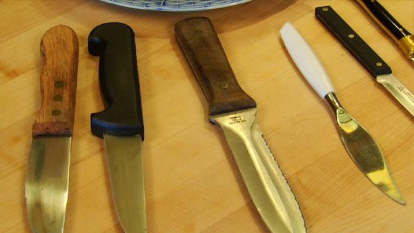 Steak Knives