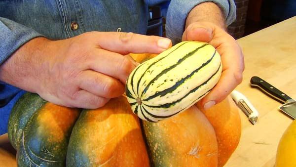 Winter Squashes