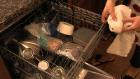 Lisa Quinns Dishwasher Fish