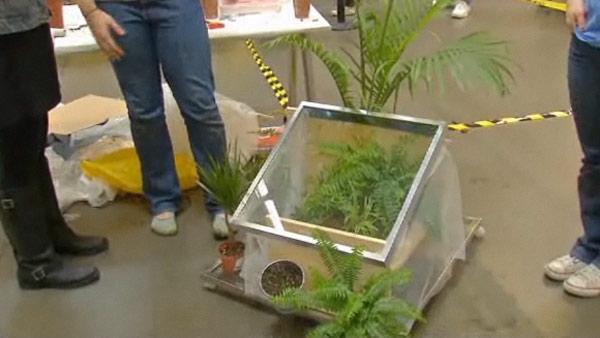 Mini Greenhouses