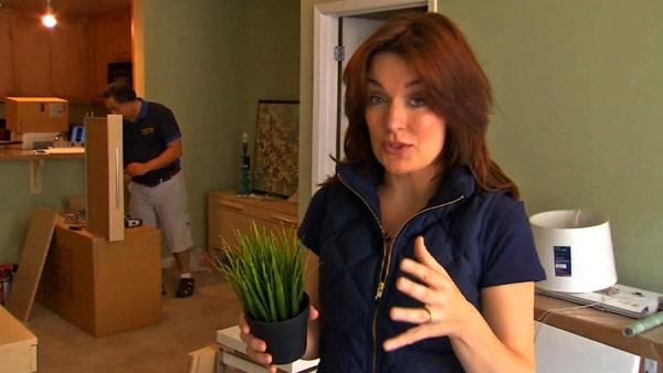Web Exclusive: Artificial Plants