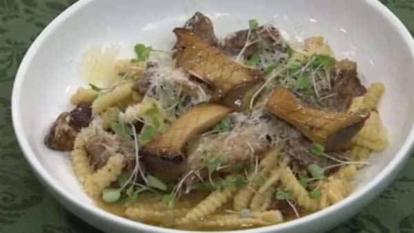 Cavatelli with Beef Shank and Wild Mushroom Conserva and Parmesan Grana