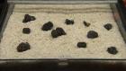 Truffles: A Gourmet Ingredient Truffles: A Gourmet Ingredient