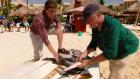 Rick and Jacques, Two Chefs at Playa Rick and Jacques, Two Chefs at Playa