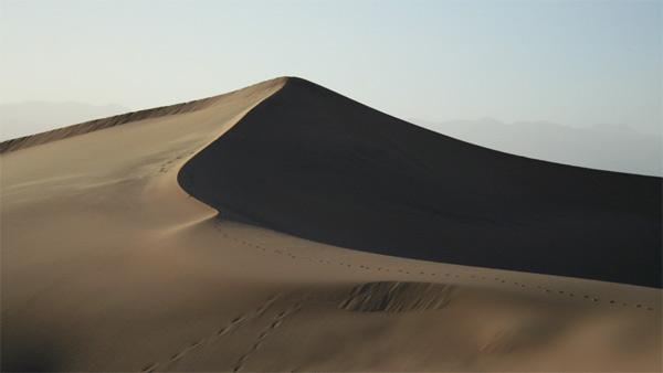 Death Valley is the largest National Park in the lower 48.