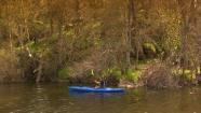 Flat-water Kayaking Flat-water Kayaking