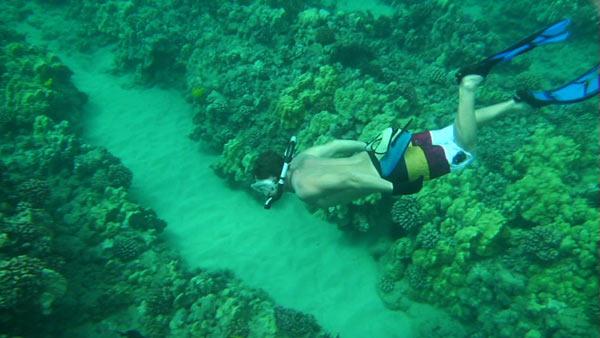 Kona: Under the Sea