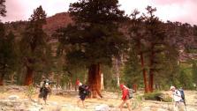 Fan Hike Through High Sierras Fan Hike Through High Sierras